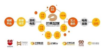 芒果超媒上半年業(yè)績飆升 扣非凈利勁增74倍，會員與廣告業(yè)務(wù)雙翼齊飛